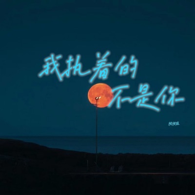 我执着的不是你 - Single