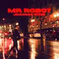 Mr. Robot