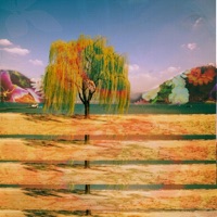 BLUE EYES - DZRT ANML