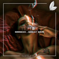 Туман - Single - Gökay Ekin & Mosees