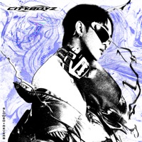 CITY BOYZ (EP) - EP - NICECNX