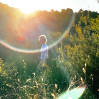 pa'l resto (feat. jovedry & blau fosk) - Single - Greta