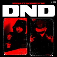 DND (feat. SktrictlyBz) - Single - Winna