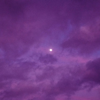 PROHIBIDO - Single