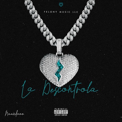 LA DESCONTROLA (feat. NNNANDOOO) - Single