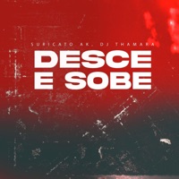 Desce e Sobe - Single - DJ Thamara & Suricato AK