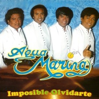 IMPOSIBLE OLVIDARTE