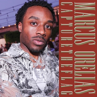 Capture The Flag - Single