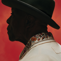 Blues Chase The Blues Away - Buddy Guy Cover Art