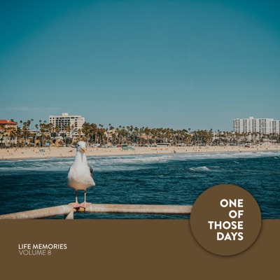 Life Memories, Vol. 8