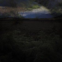 Orchard - Single - Marlon DuBois