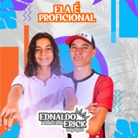 Ela É Proficional - Single - Ednaldo Bonde farra e Erick playboyzin