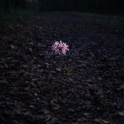 save - Single