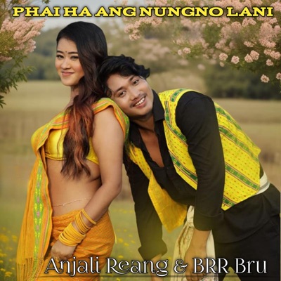 Phai Ha Ang Nungno Lani - Single