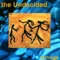 Cynic (2024 Remaster) - The Undecided lyrics