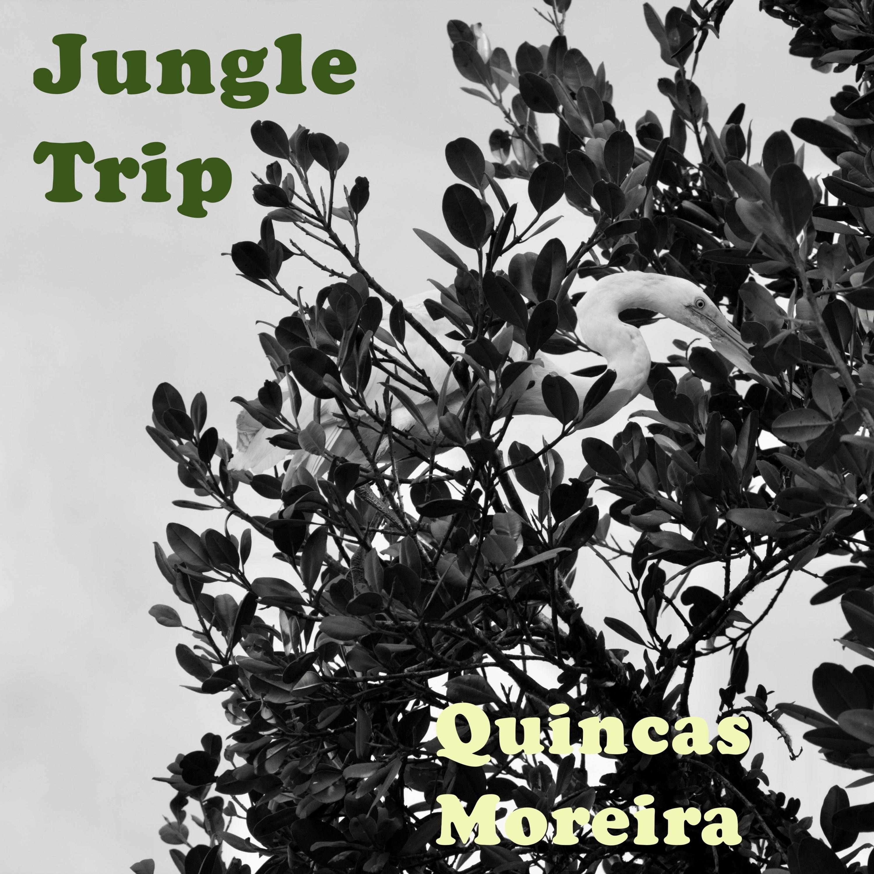 Jungle Trip