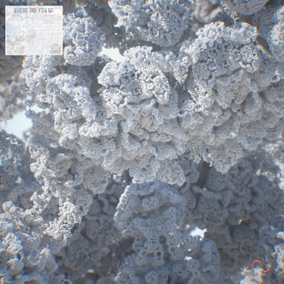 Where Did You Go - Single