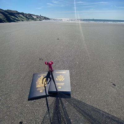 Flight Pack - Single