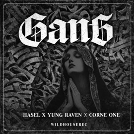 Gang (feat. Corne One & Young Raven) Hasel