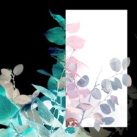 Strength & Beauty (feat. Yandere) [Slow + Reverb] - Single - comfort