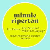 Can You Feel What I'm Saying? (Timmy Regisford Shelter Remix) artwork