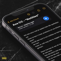 Notities - Single - ACEE