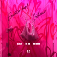 Encontro das Gostosas (feat. Mc Rodson) - Single - MC GW