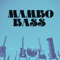 MAMBO BASS (SLOWED) - Single - JAVISH BEATS