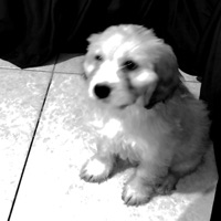 Huellas - Single - Nvitek