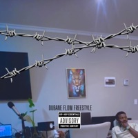 Dubane flow freestyle - Single - Swif BiKo