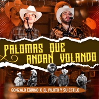 Palomas Que Andan Volando - Single - Gonzalo Eguino & El piloto y su estilo
