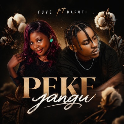 Peke yangu (feat. Baruti) - Single