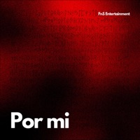 Por mi (feat. Tomaro) [Radio Edit] - Single - FnS