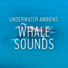 Underwater Ambient: Whale Sounds - Whale Sounds, Nature Sounds Nature Music & Whale Sounds Relaxation