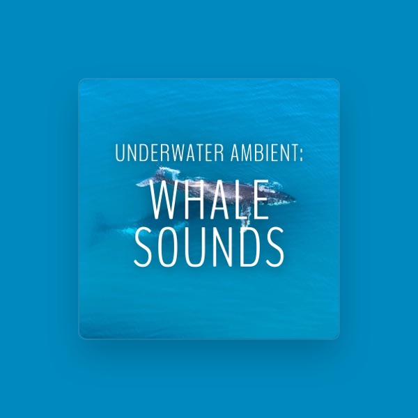 Whale Sounds's avatar