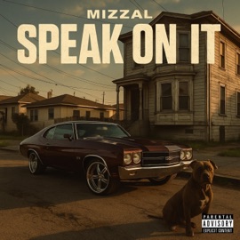Speak On It Mizzal