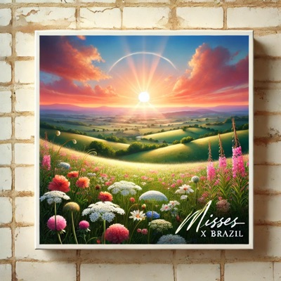 hopecore - Misses x Brazil (Sped Up)