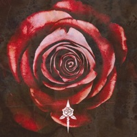 Roses - Single - Courtland Young