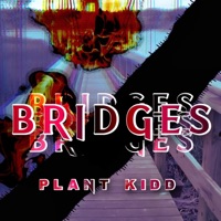 Bridges (feat. prod. Eskimos x Jkei) - Single - Plant Kidd