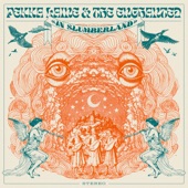 Pekka Laine & The Enchanted in Slumberland artwork