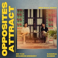 opposites attract (feat. Brandon Gregory) - Single - IDC TAO