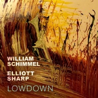 Lowdown - William Schimmel & Elliott Sharp