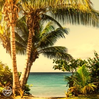 Who is Johnny? - Single - MALIWA & Hanni