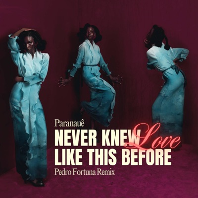 Never Knew Love Like This Before (feat. Dj Pedro Fortuna) [Radio Mix] - Single