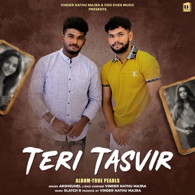 Teri Tasvir - Single