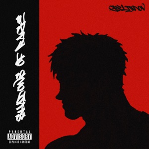 SHADOWS OF RAGE - Single