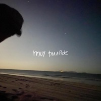 MUY TARDE :( - Single - XANDER