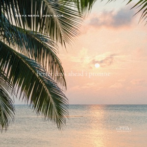 better days ahead i promise - Single