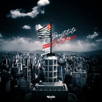 Os Prostituto de Sampa (feat. Mc RN Original) - Single - WR ORIGINAL & Kaue Mc