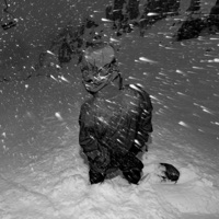 Polar (feat. RHINOO!) - Single - YONZE